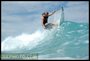 Lil' Spring Swell