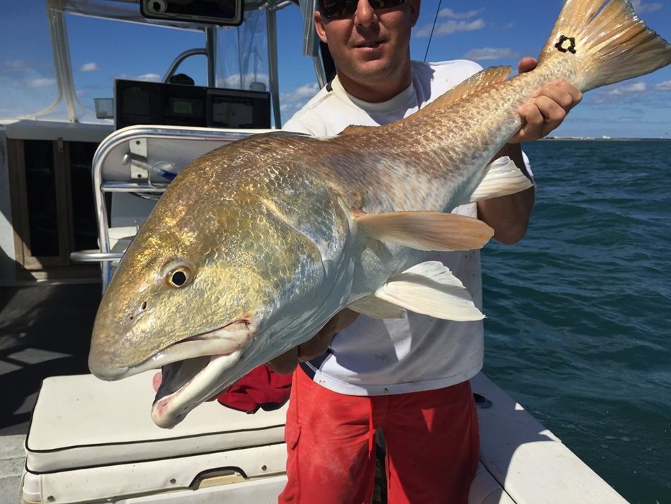 Cape Canaveral Late October Fishing Report