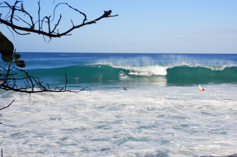 Where to Surf in Puerto Rico