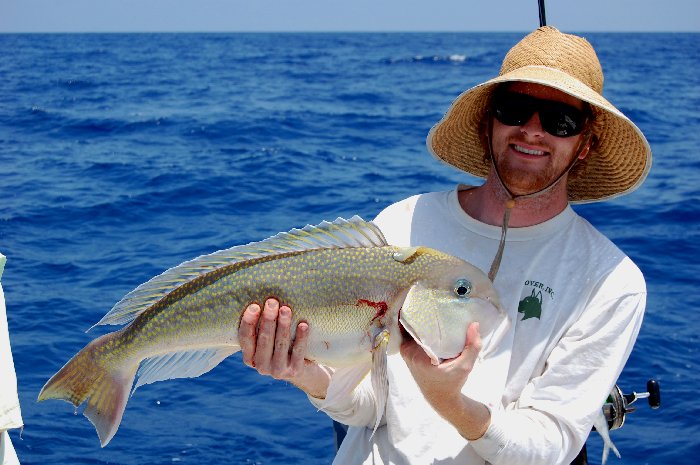 Fish Shoaling Under Water Men's Sun Hat Straw Hat For Beach, Boating,  Fishing..