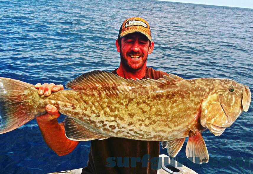 Sebastian Inlet Florida Fishing - Offshore and The Indain River Lagoon